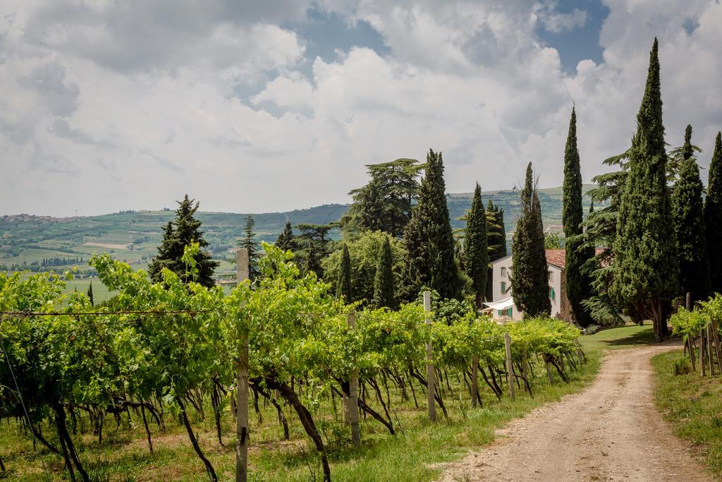 Mezzane di Sotto Massimago Wine Relais 빌라 외부 사진