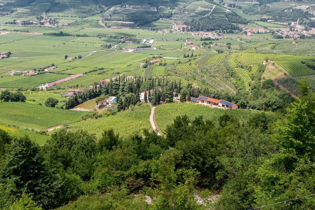 Mezzane di Sotto Massimago Wine Relais 빌라 외부 사진