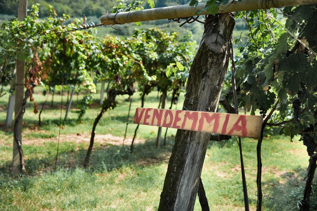 Mezzane di Sotto Massimago Wine Relais 빌라 외부 사진