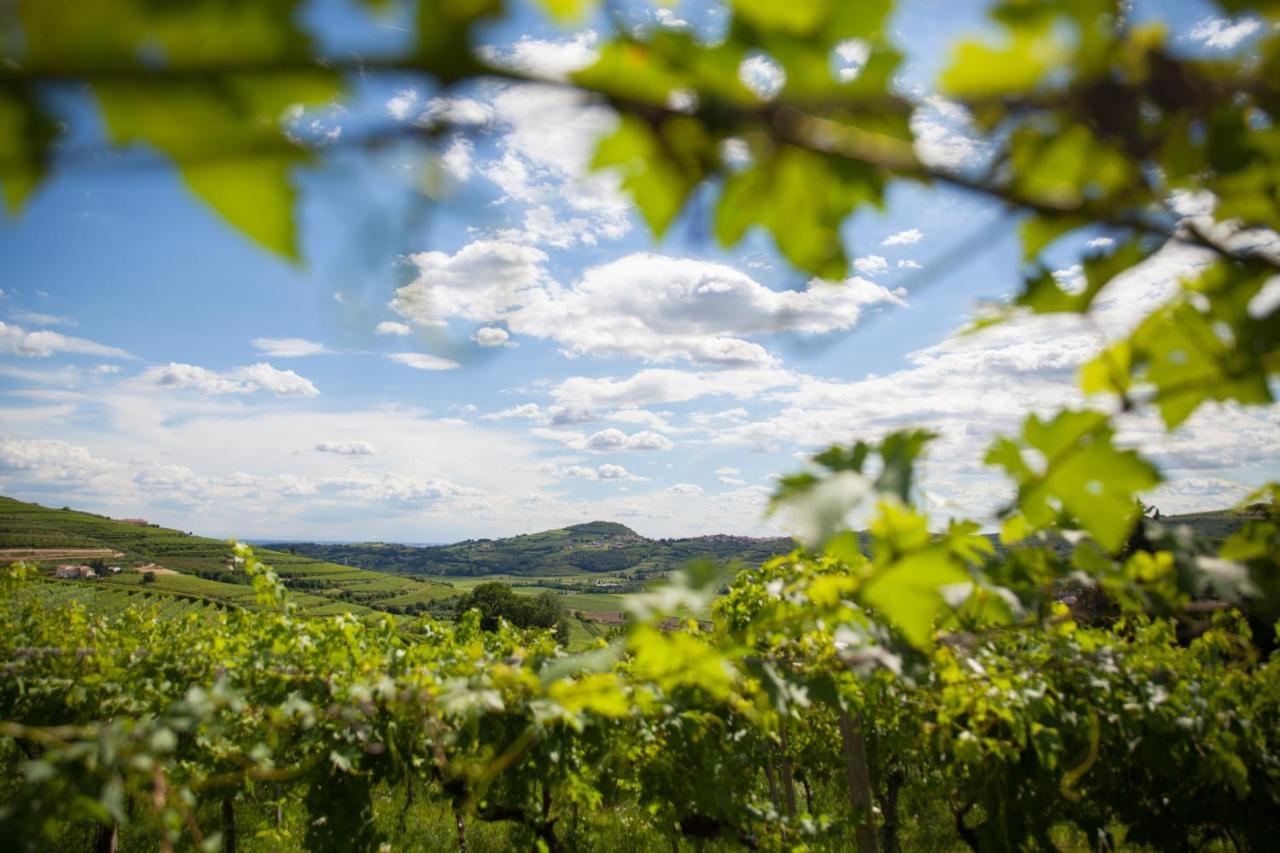 Mezzane di Sotto Massimago Wine Relais 빌라 외부 사진